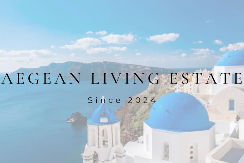 Enso Mykonos Living Apartment Mykonos Town Luaran gambar