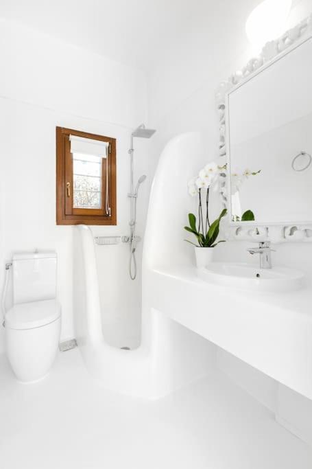 Enso Mykonos Living Apartment Mykonos Town Luaran gambar