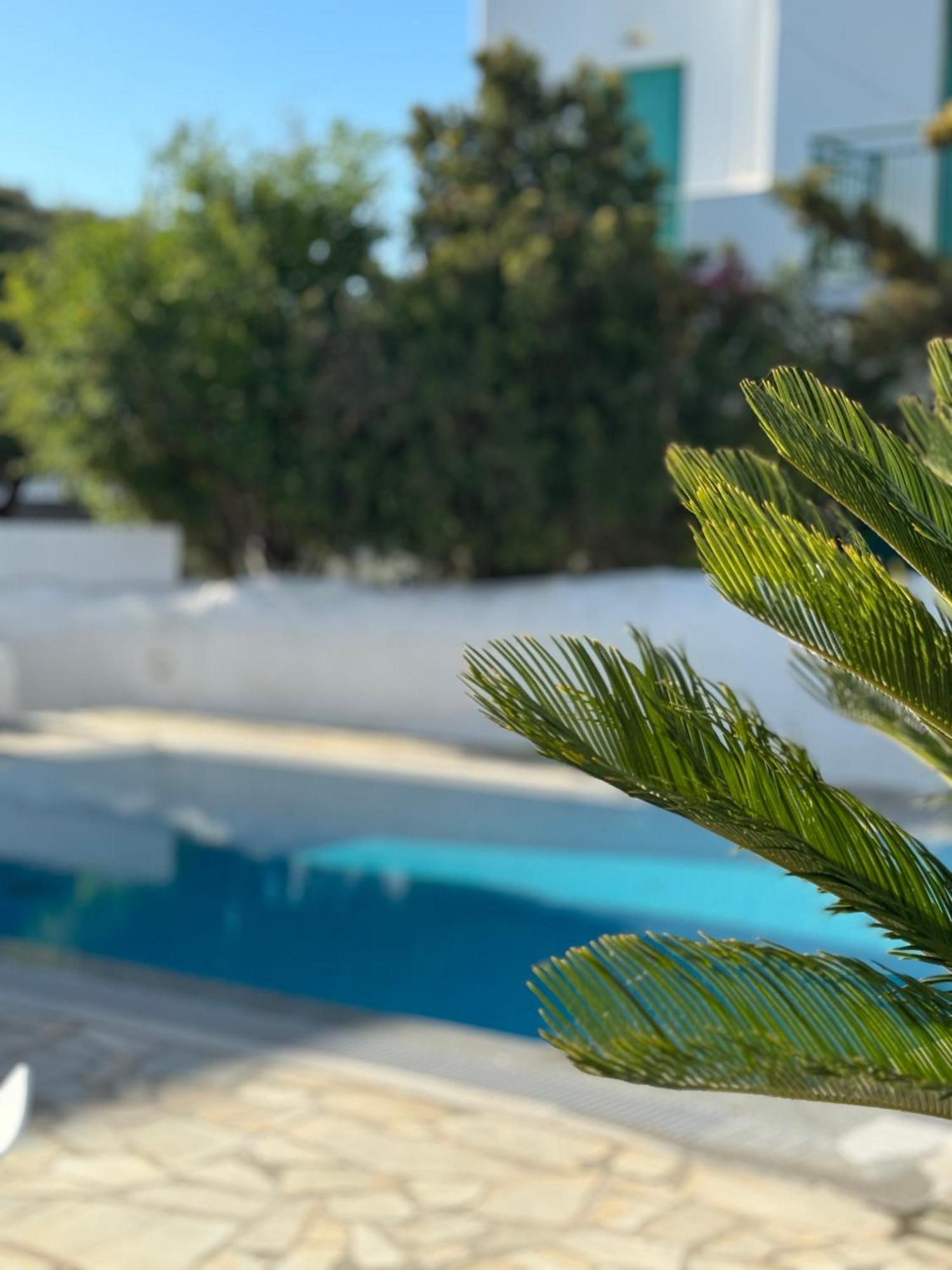 Enso Mykonos Living Apartment Mykonos Town Luaran gambar