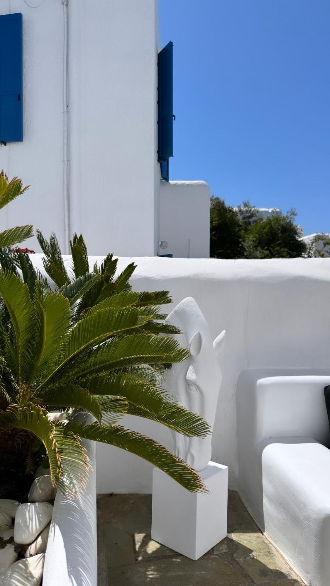 Enso Mykonos Living Apartment Mykonos Town Luaran gambar
